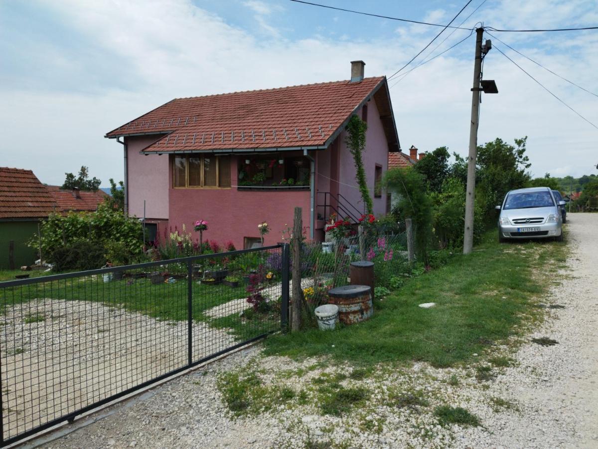 Stancic 019 Lägenhet Zaječar Exteriör bild
