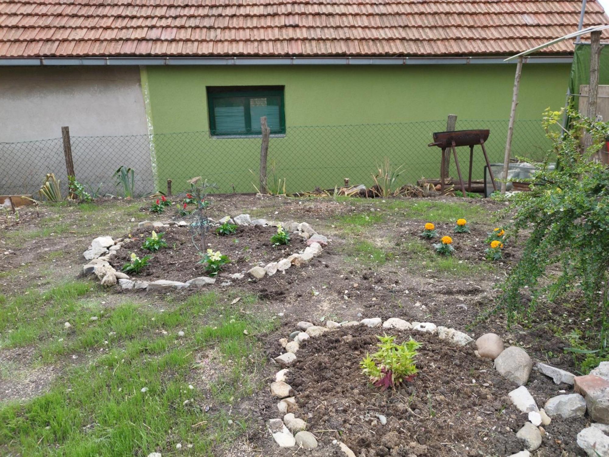 Stancic 019 Lägenhet Zaječar Exteriör bild